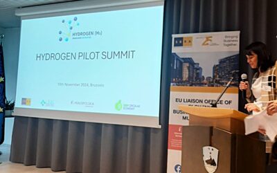 home 6 Hydrogen Pilot Summit